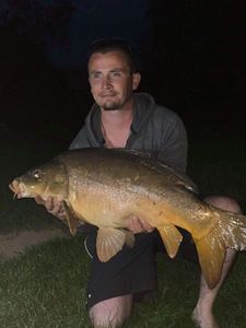 Mirror Carp