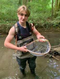 Brown Trout