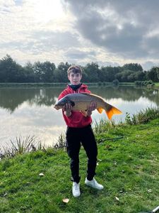 Common Carp