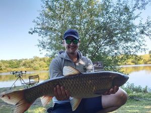 Grass Carp