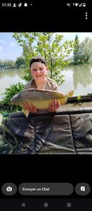 Mirror Carp