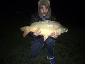 Mirror Carp