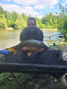 Mirror Carp