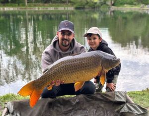 Common Carp