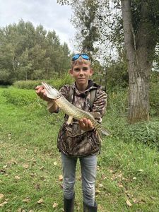 Northern Pike