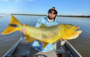 Dorado Argentin 