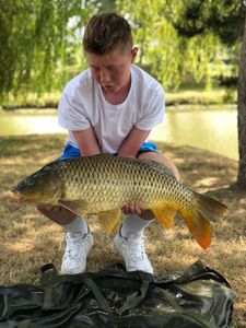 Common Carp