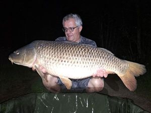 Common Carp
