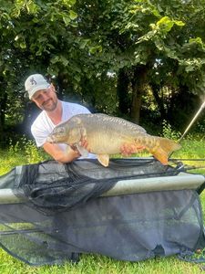 Mirror Carp