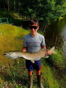 Northern Pike