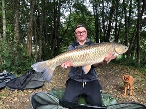 Grass Carp