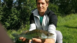 Zander
