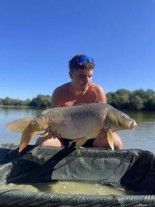 Mirror Carp