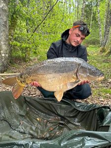 Leather Carp