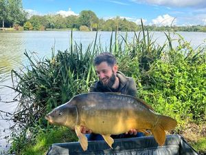 Mirror Carp