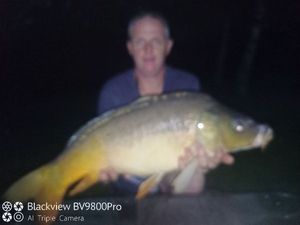 Mirror Carp