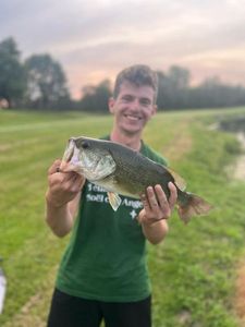 Largemouth Bass