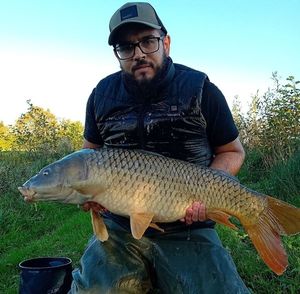 Common Carp
