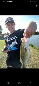 Smallmouth Bass