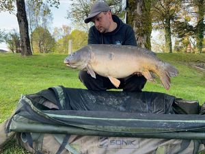 Mirror Carp