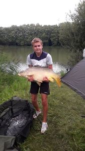 Mirror Carp