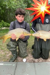 Common Carp