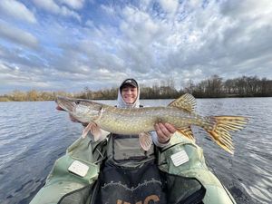 Northern Pike