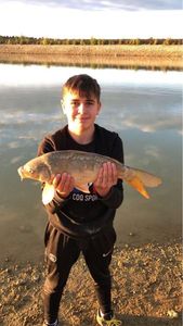 Mirror Carp