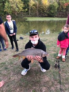 Common Carp