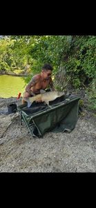Silver Carp