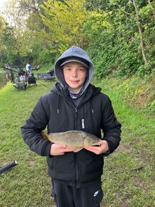 Common Carp