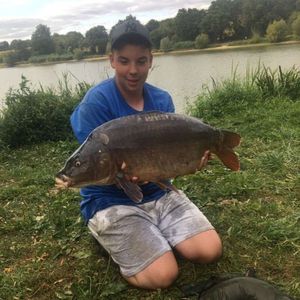 Mirror Carp