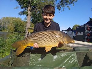 Common Carp