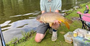 Mirror Carp