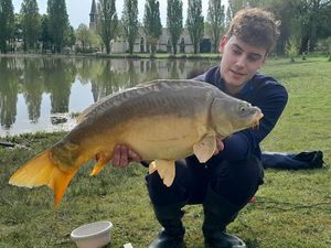 Mirror Carp