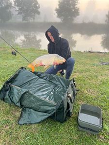 Common Carp