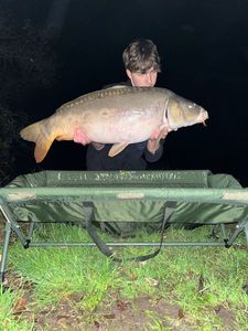 Mirror Carp