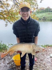 Mirror Carp