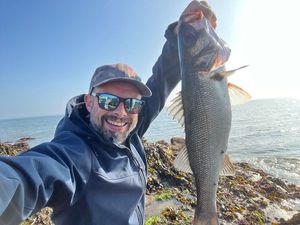 European Bass (Seabass)