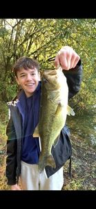 Largemouth Bass