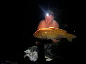 Koï Fish