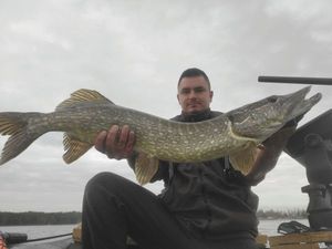 Northern Pike
