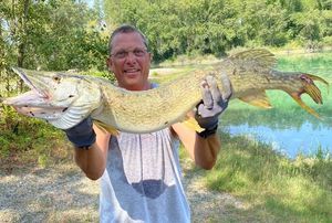 Northern Pike