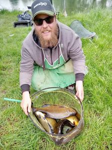 Tench