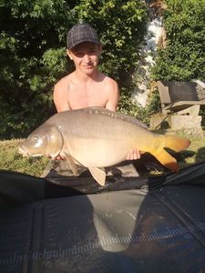 Mirror Carp