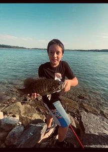Smallmouth Bass