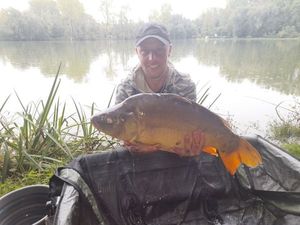 Mirror Carp