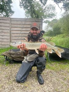 Northern Pike