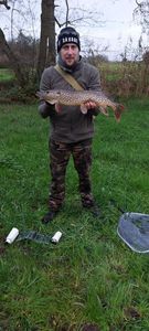 Northern Pike