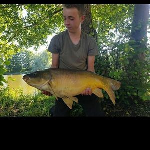 Mirror Carp